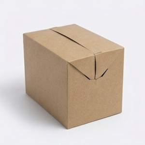 CAJA POSTAL
